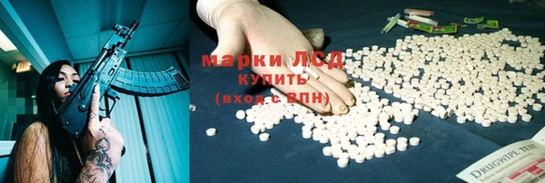 spice Осинники